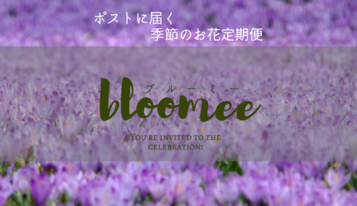 【bloomee】CM・インスタで大人気の「季節のお花定期便」〜料金や評判は？〜